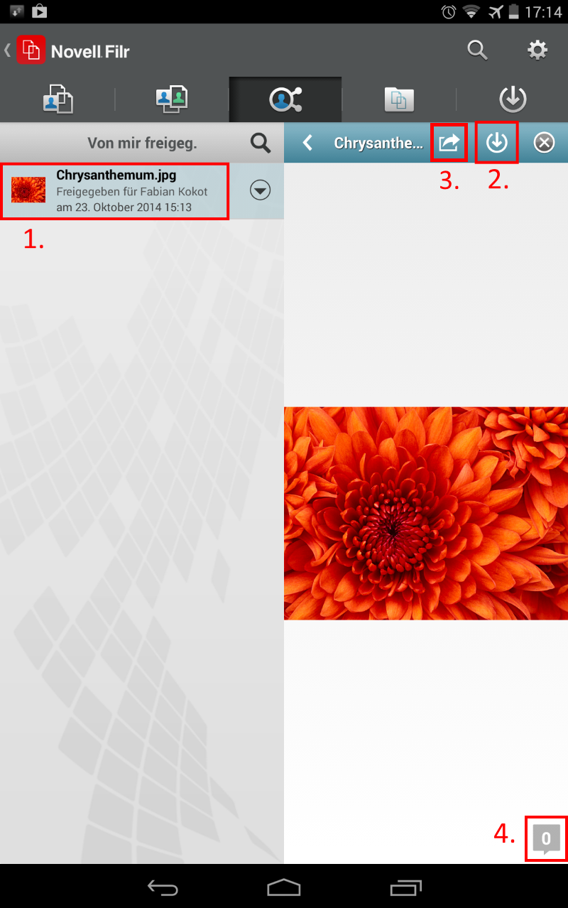 Download file Download file