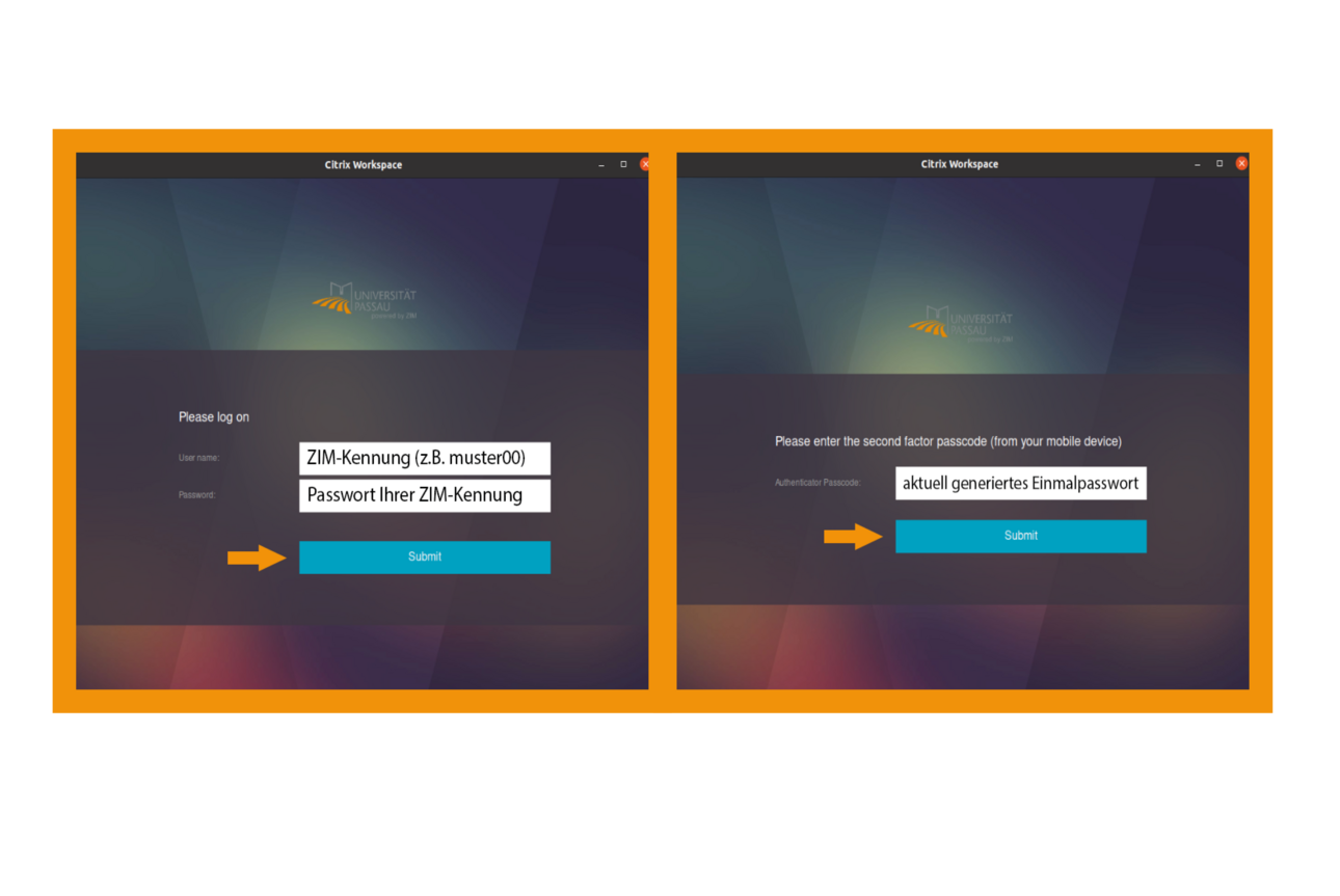 Linux Citrix Workspace App Schritt 5
