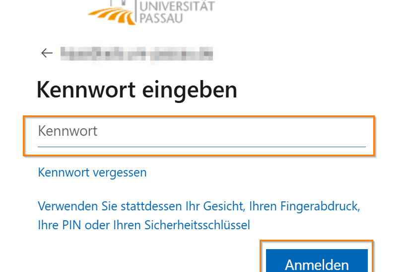 Microsoft Passwort eingeben