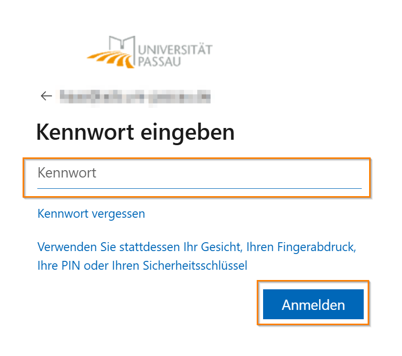 Microsoft Passwort eingeben