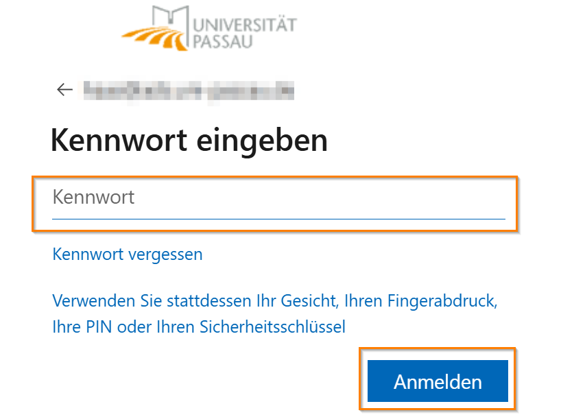 Microsoft Passwort eingeben