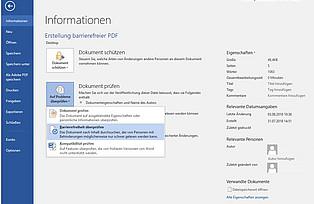 Aufgabenbereich „Barrierefreiheitsprüfung“ öffnet sich rechts, unterteilt in drei Teile. Prüfungsergebnisse ist Auflistung von Fehlern und Tipps, Weitere Informationen mit näheren Hinweisen zum gewählten Fehler, darunter ein Link zu weiteren Info