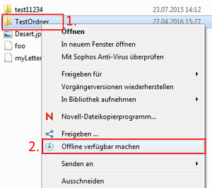 Instructions: synchronise files for offline use Instructions: synchronise files for offline use